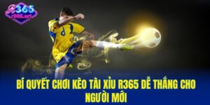 kèo tài xỉu