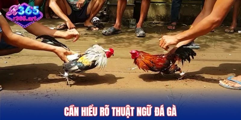 Cần hiểu rõ thuật ngữ đá gà
