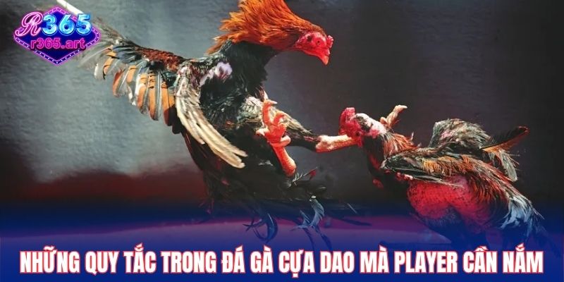 Những dòng gà chọi nổi bật được yêu thích nhất hiện nay