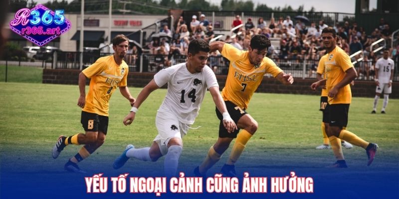 Thông tin về thời tiết và yếu tố ngoại cảnh cũng ảnh hưởng