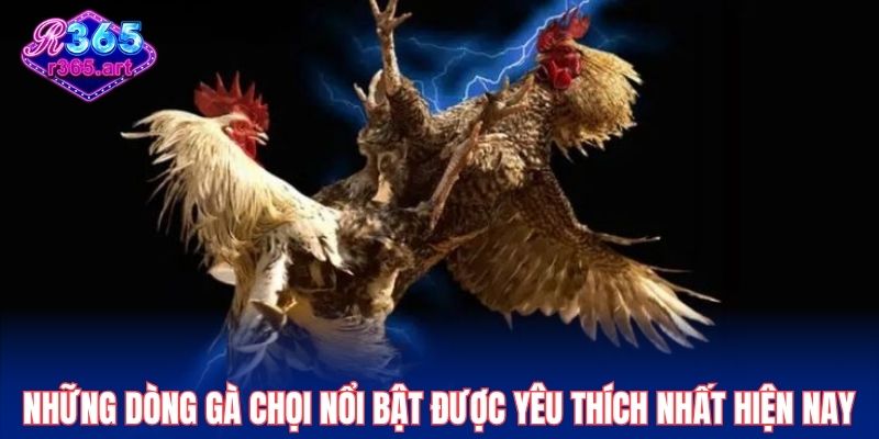 Chi tiết trinh tự phân xử thắng thua trong trận đấu